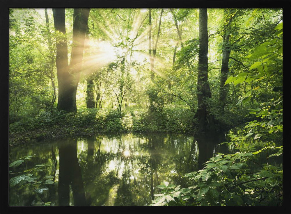 Grüner Park | Poster