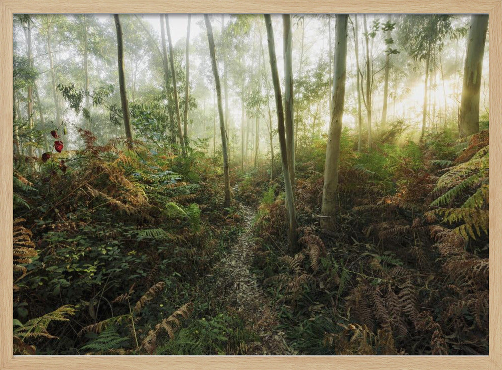Nebliger Wald II | Poster