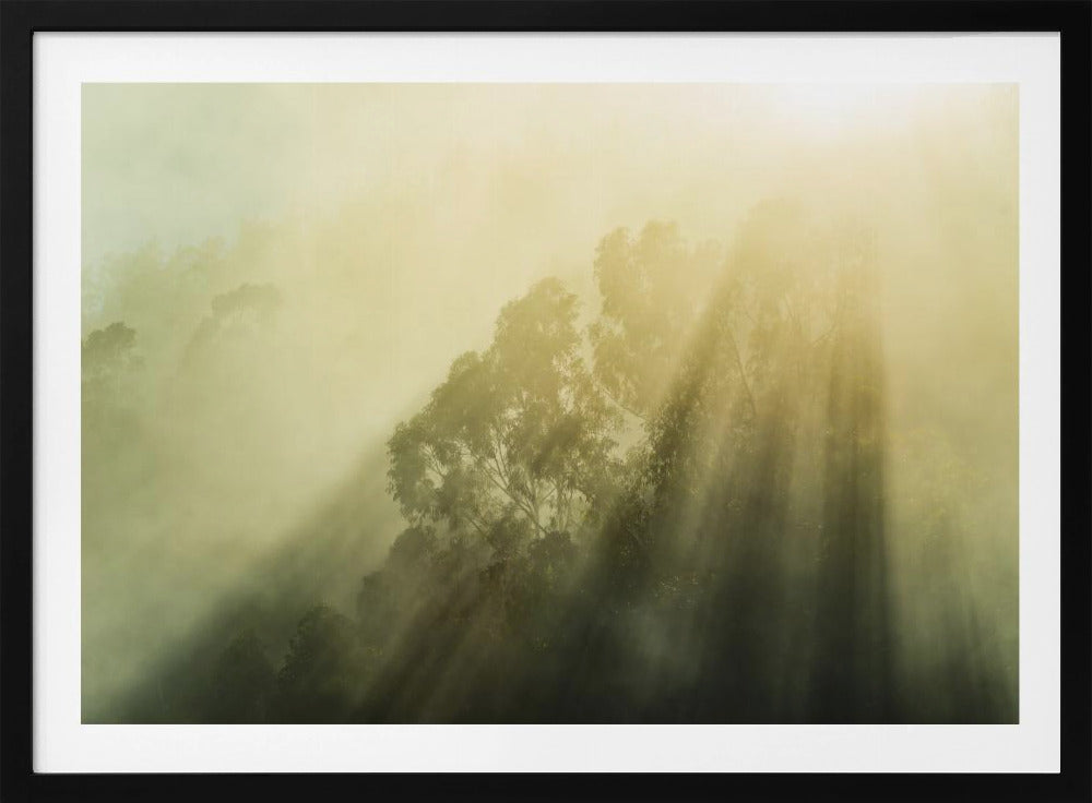 Nebliger Wald III | Poster