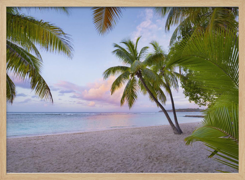 Tropischer Strand | Poster