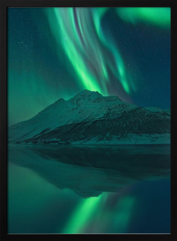 Reflektierende Fee | Poster