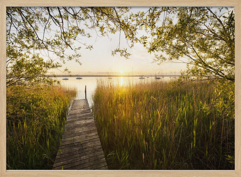 Goldener Steg | Poster