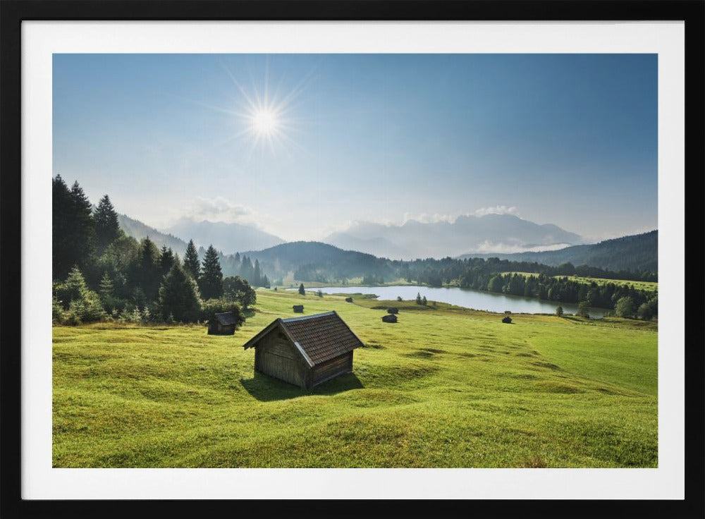 Sommerwiese | Poster
