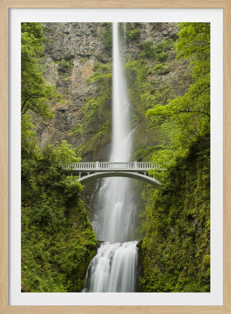 Weicher Schwanz | Poster