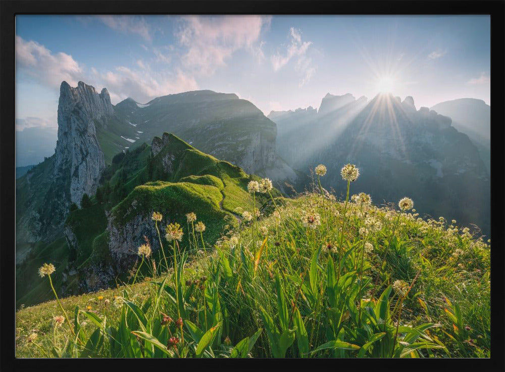 Hochsommer | Poster