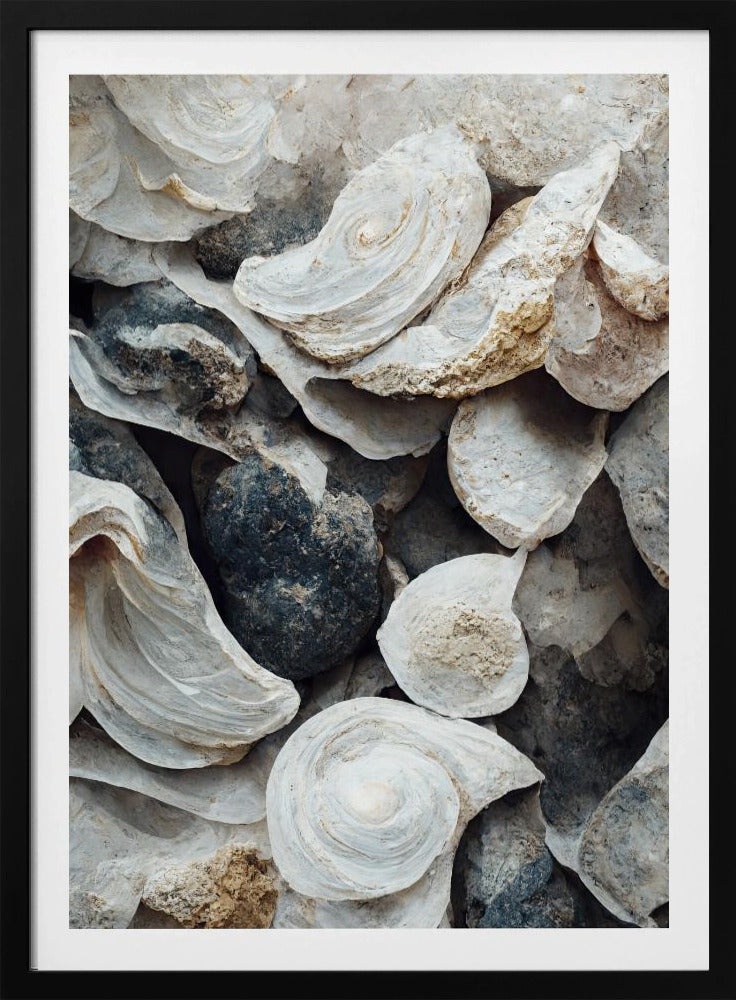 Muscheln und Stein | Poster