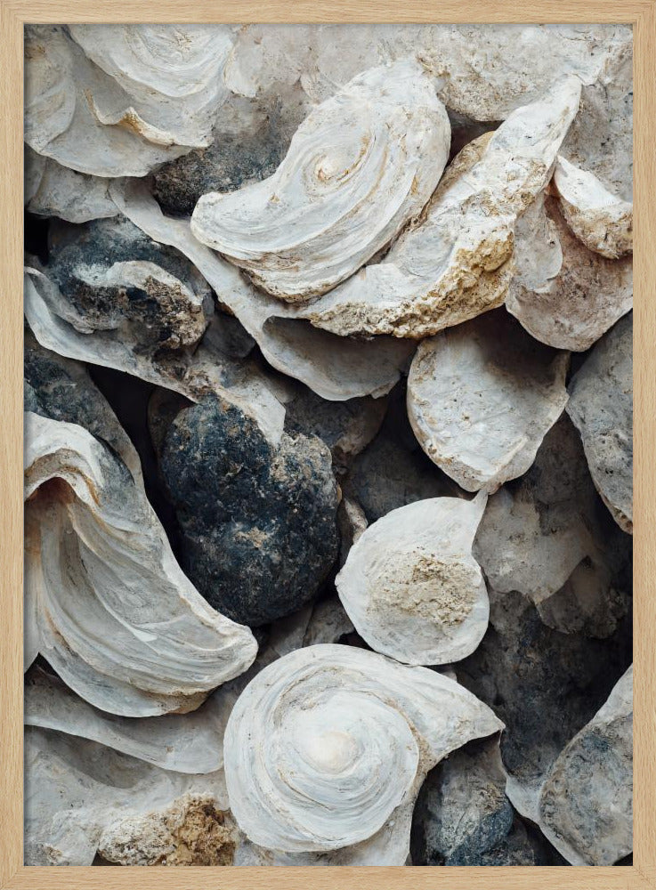 Muscheln und Stein | Poster
