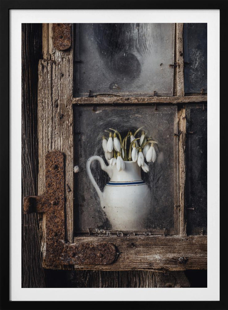 Frühlingsblumen im Fenster | Poster