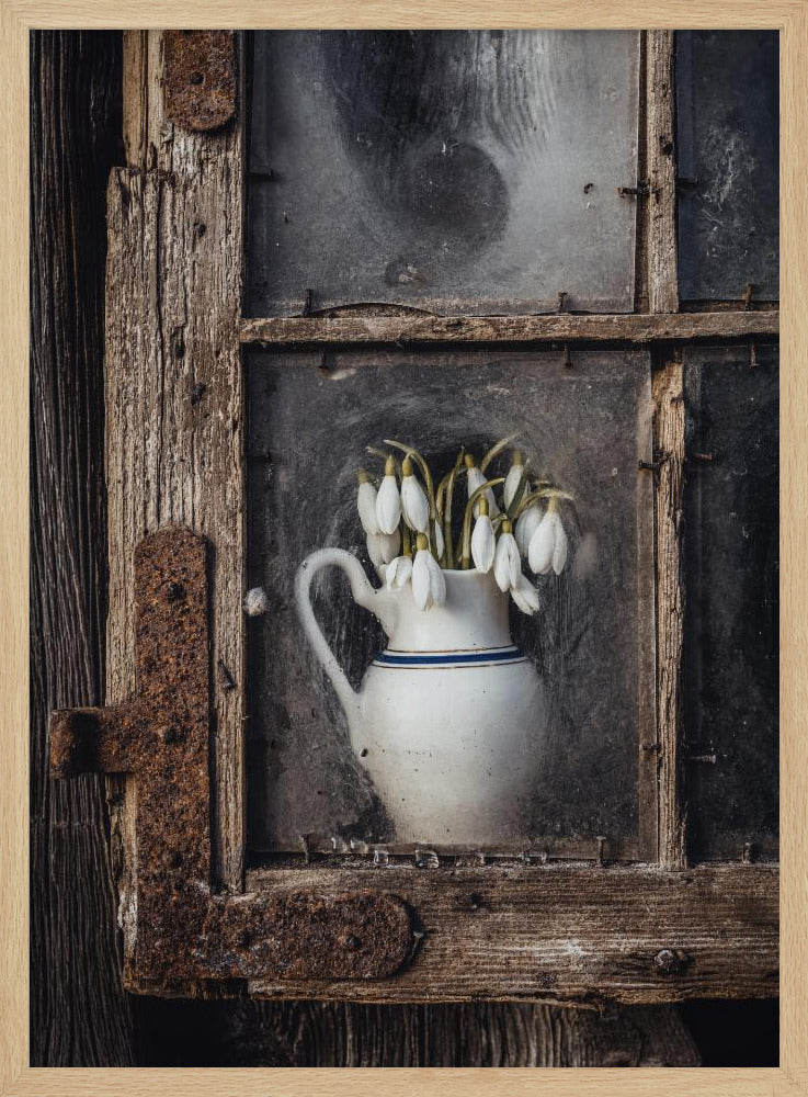Frühlingsblumen im Fenster | Poster
