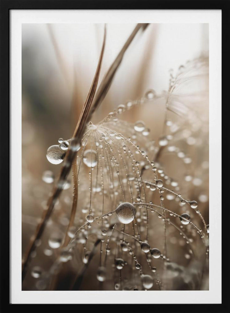 Taufrisches Filigran | Poster