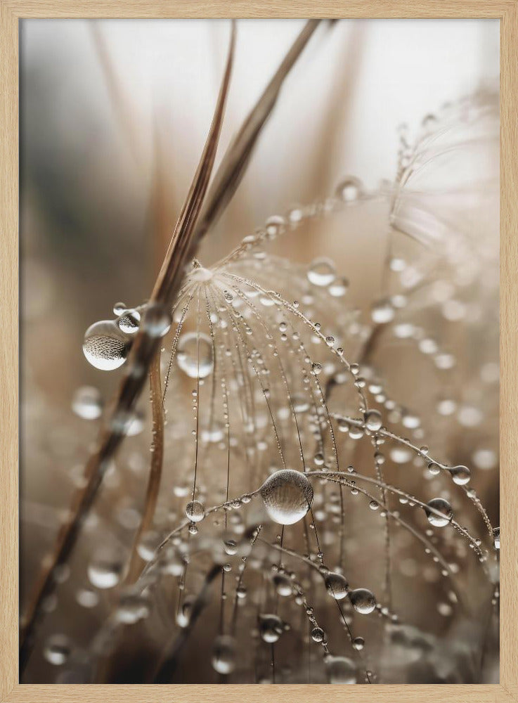 Taufrisches Filigran | Poster