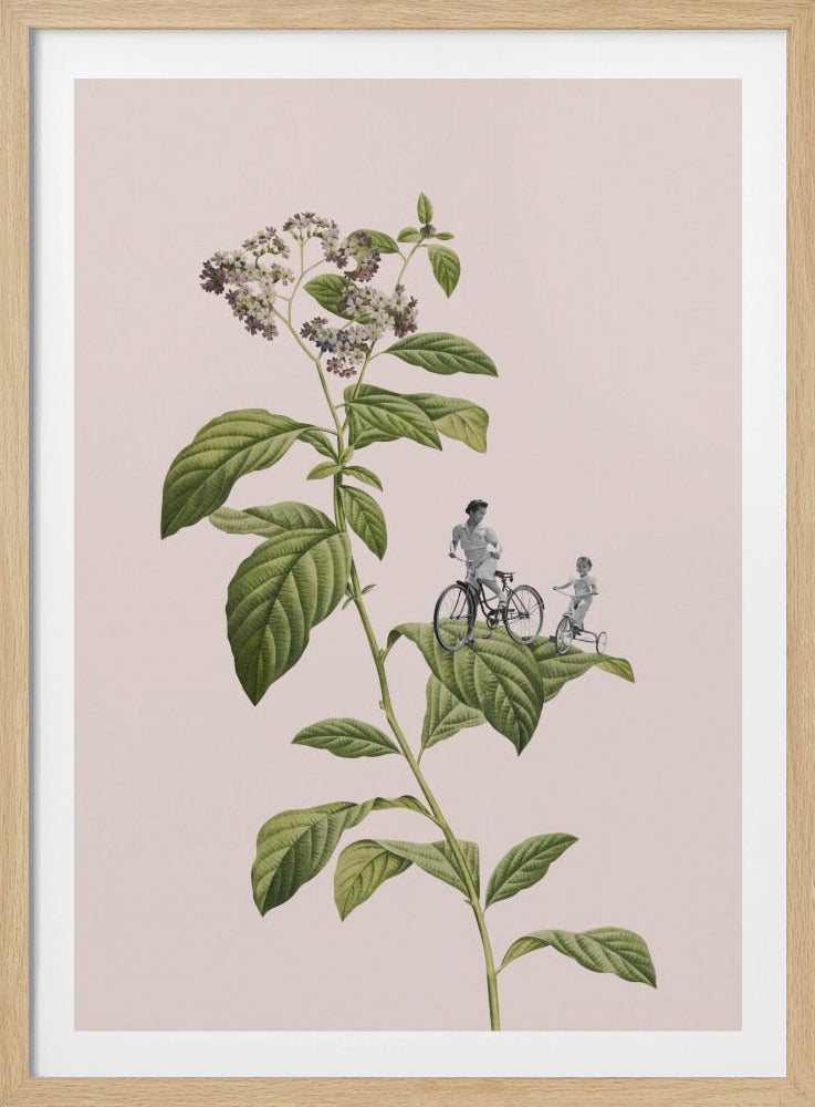 Botanisches Radfahren | Poster