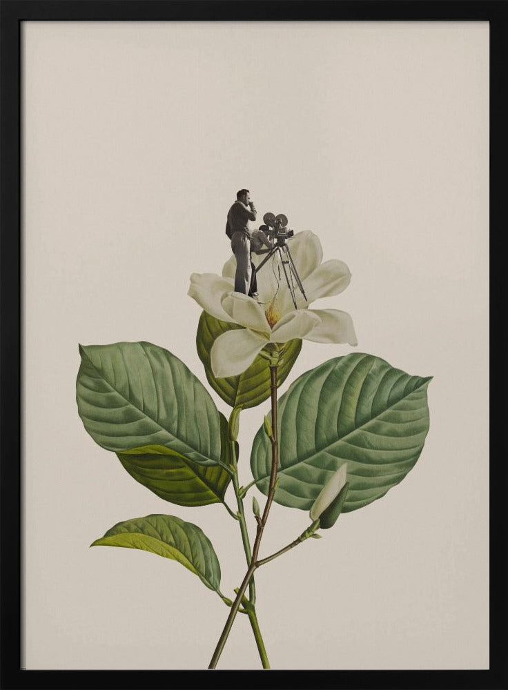 Botanischer Vintage-Kameramann | Poster