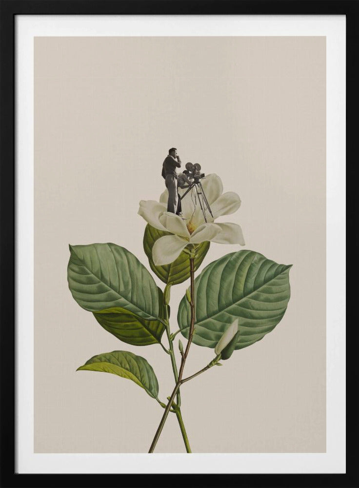 Botanischer Vintage-Kameramann | Poster