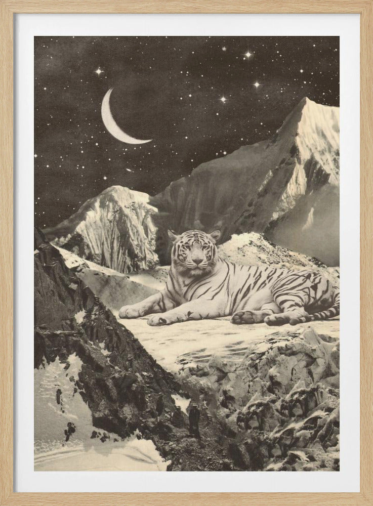 Riesiger weißer Tiger | Poster