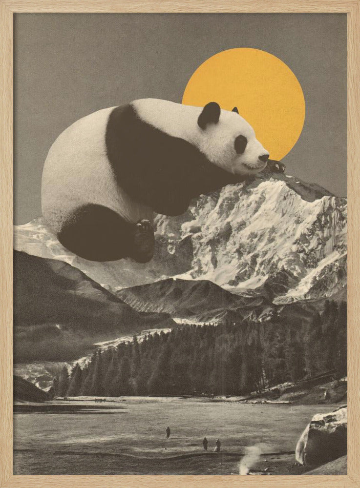 Nickerchen des Großen Pandas | Poster