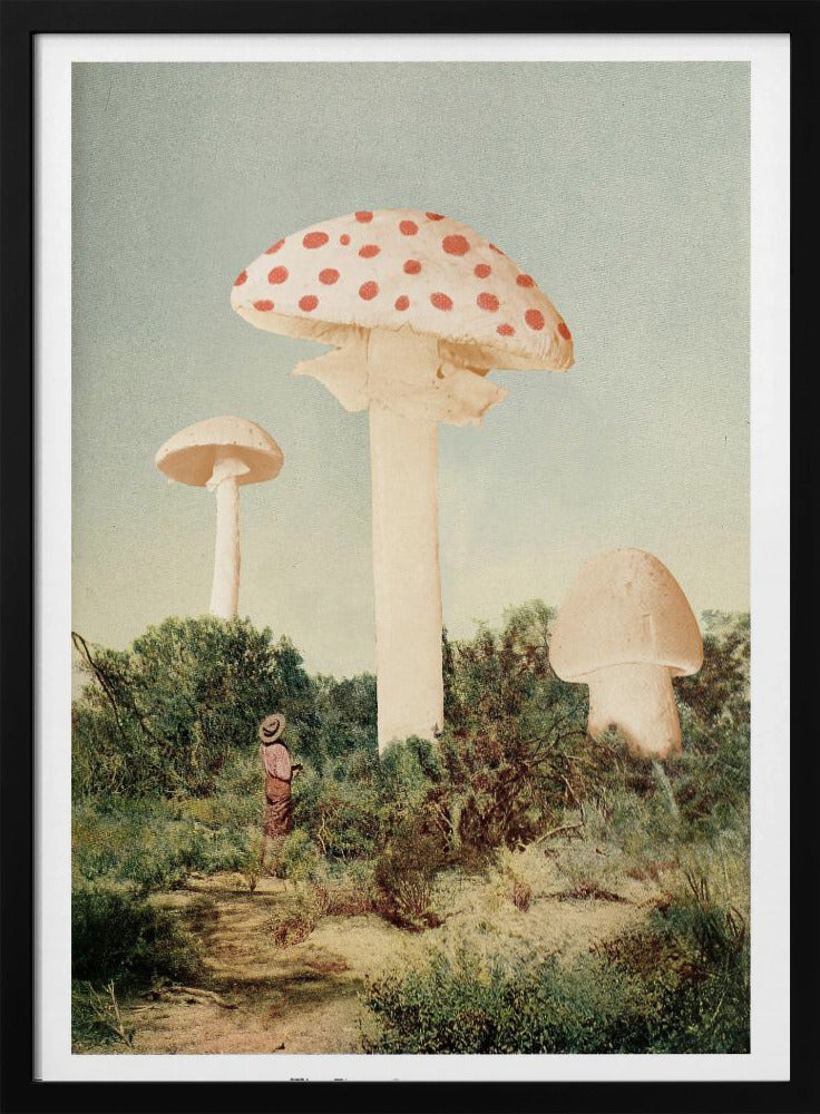 Der schönste Riesenpilz | Poster
