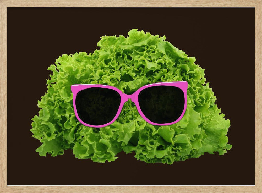 Herr Salat | Poster
