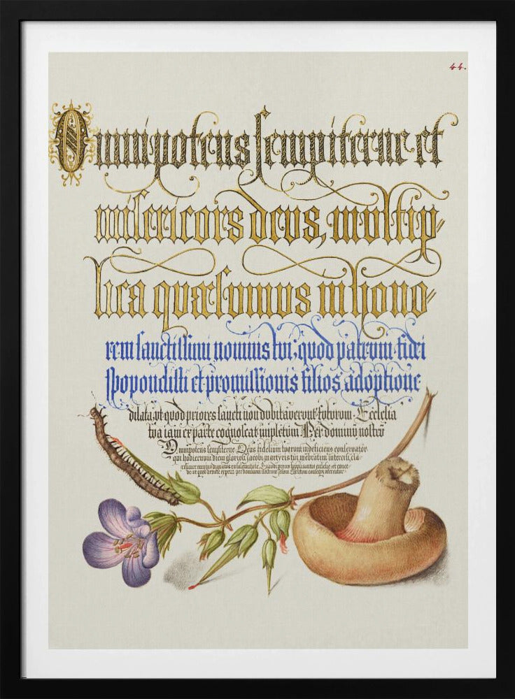 Mushroom Poster | Poster