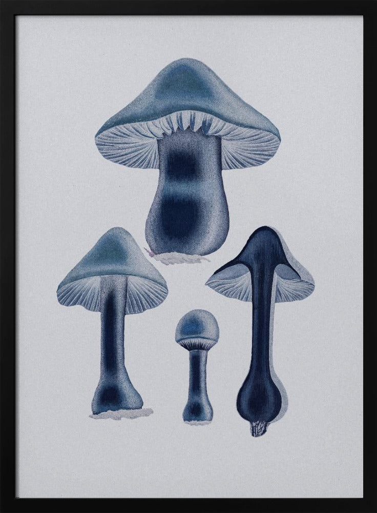 Agaricus Bulbosus - Blau | Poster