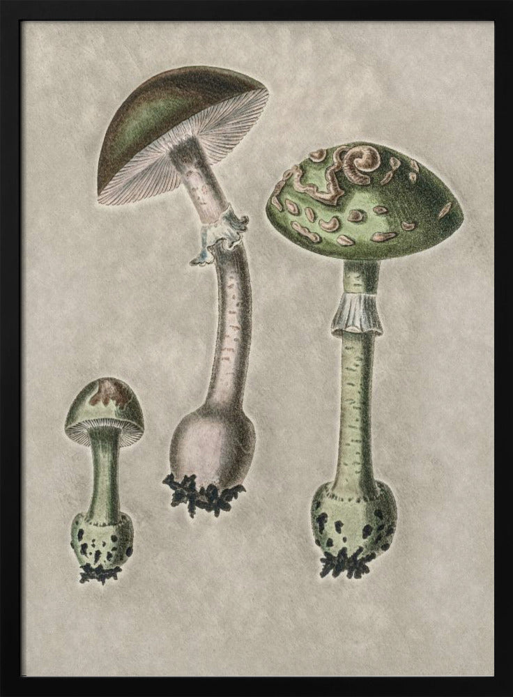 Amanita Muscaria Remix Grün | Poster