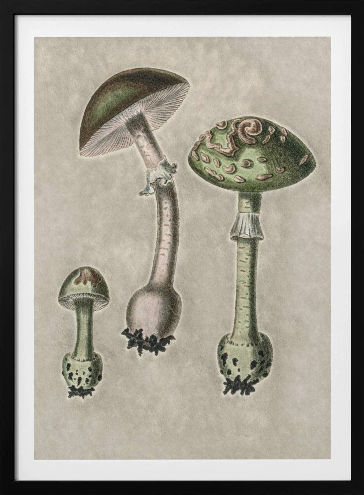 Amanita Muscaria Remix Grün | Poster