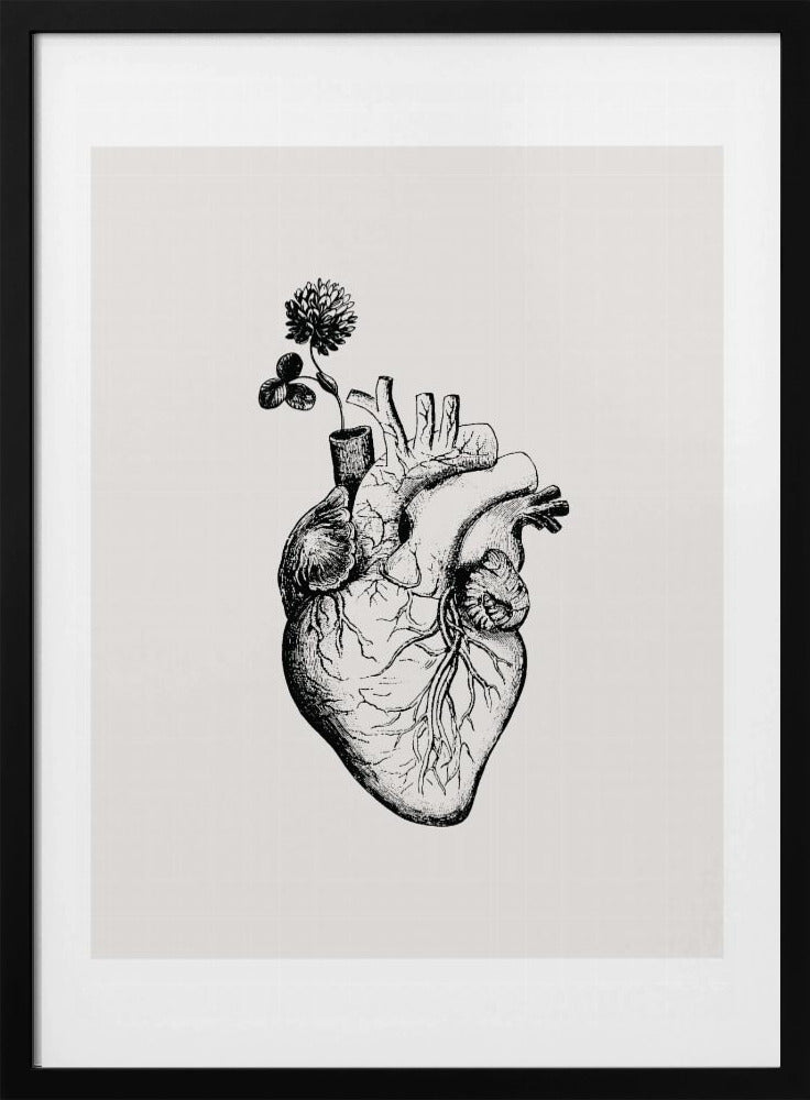 Herzblüte | Poster
