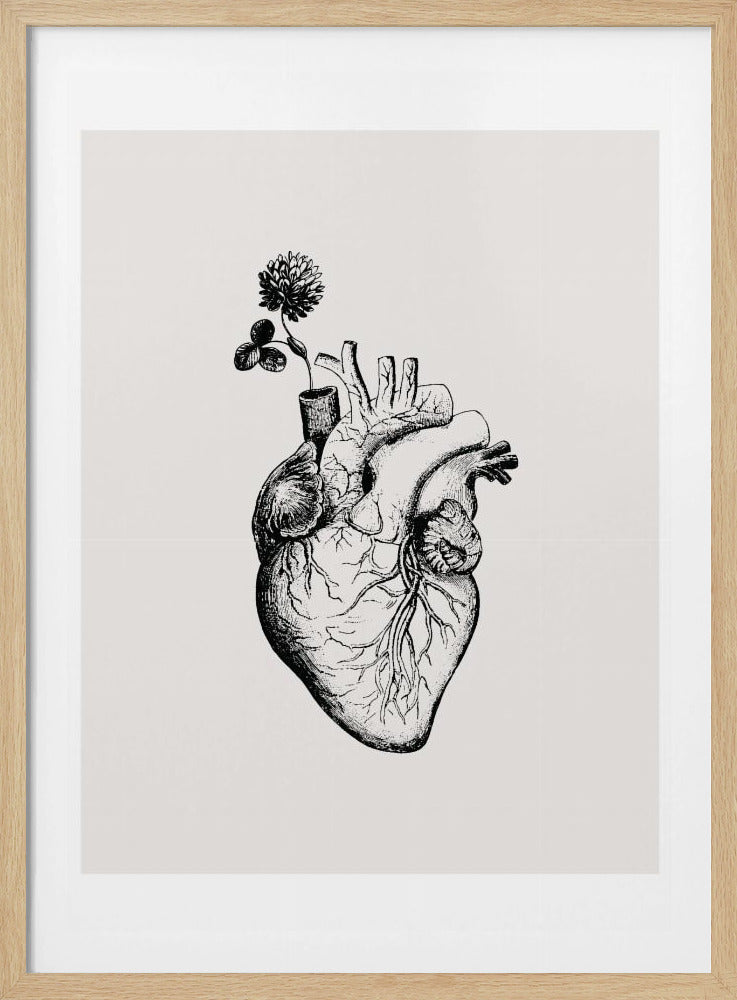 Herzblüte | Poster