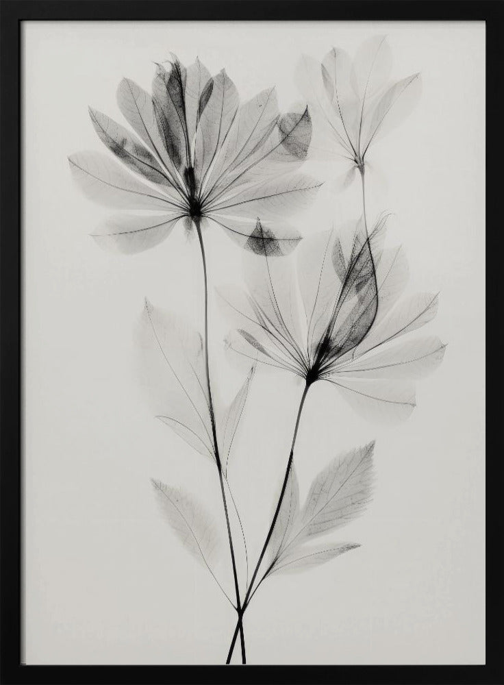 Ethereal Blossoms | Poster