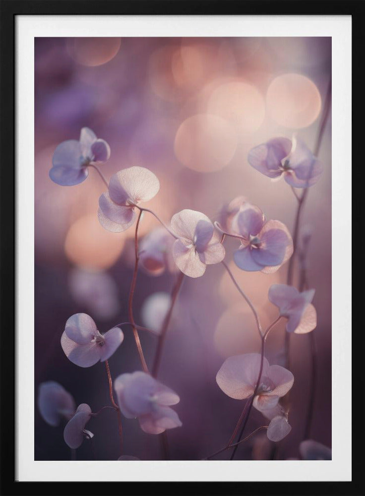 Ätherische Blüten | Poster