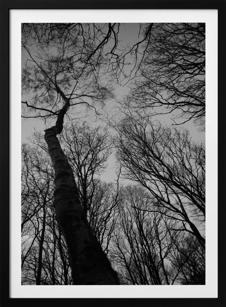 Winters Reichweite | Poster