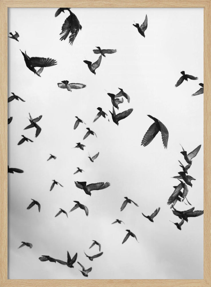 Himmelssinfonie | Poster