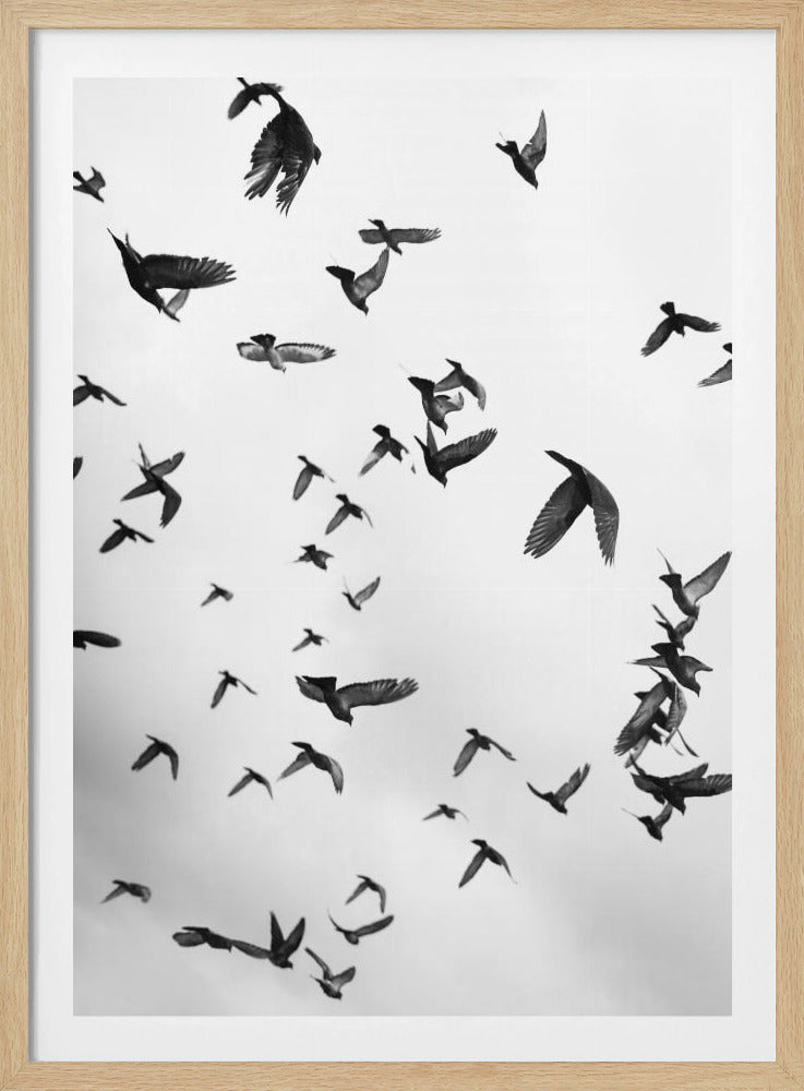 Himmelssinfonie | Poster