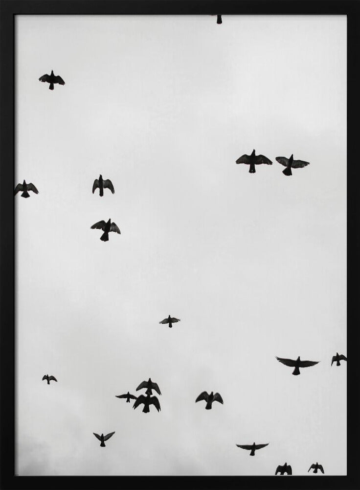 Schwebende Schatten | Poster