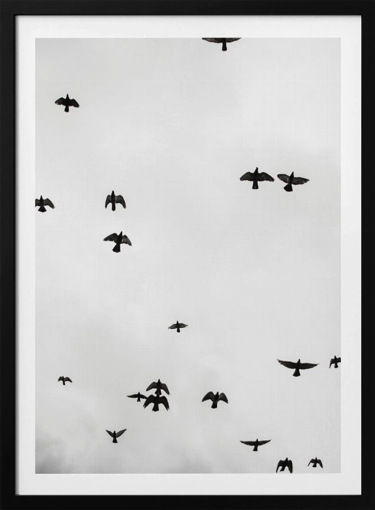 Schwebende Schatten | Poster