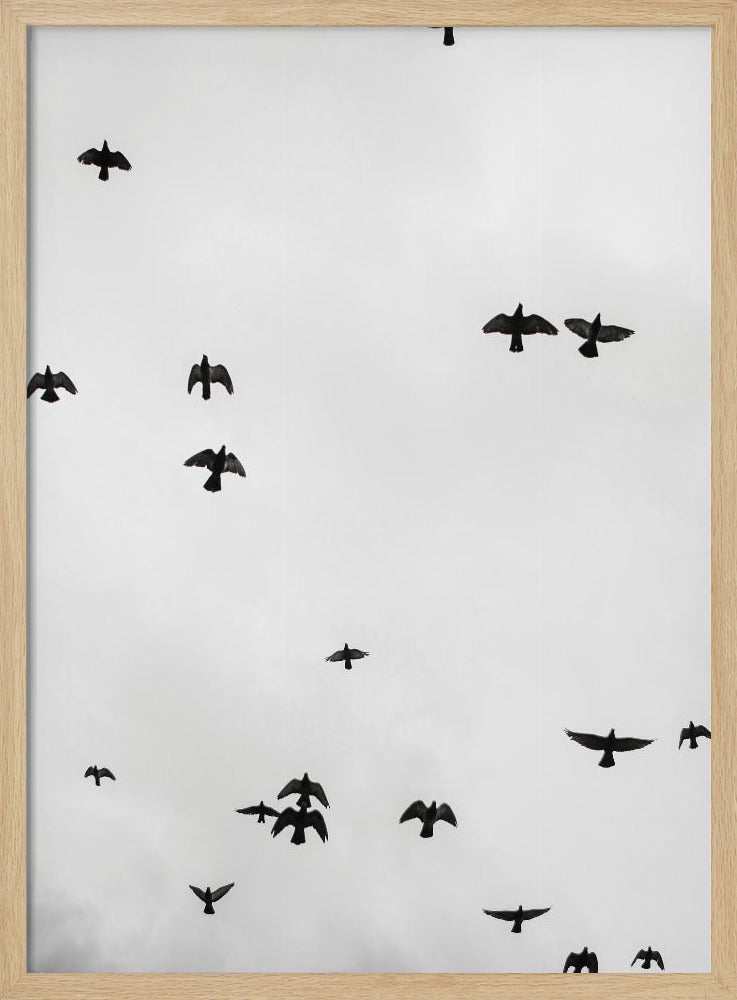 Schwebende Schatten | Poster
