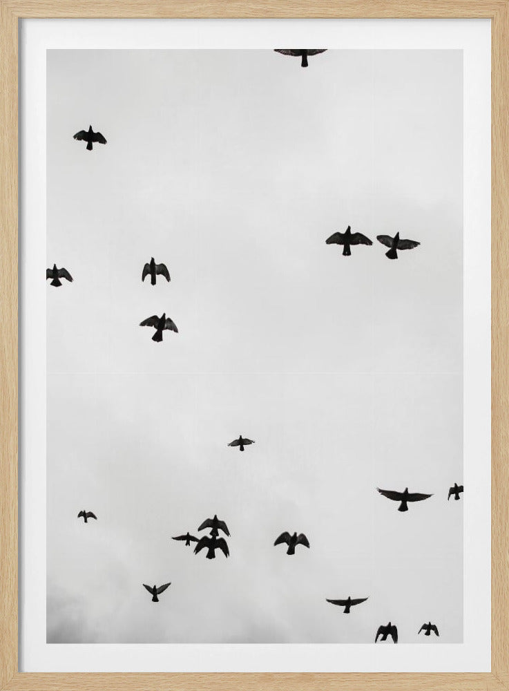 Schwebende Schatten | Poster