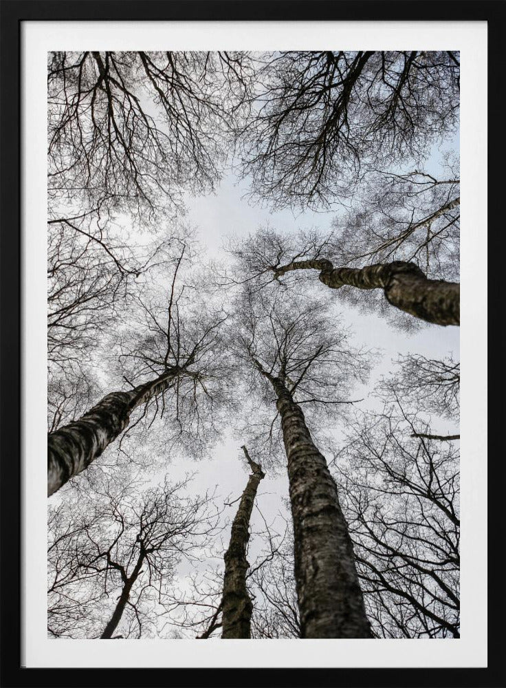 Winterumarmung | Poster