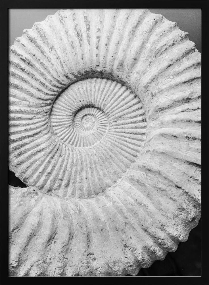 Uralte Spiralträume | Poster