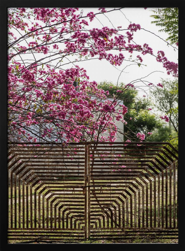 Blüten jenseits von Bars | Poster