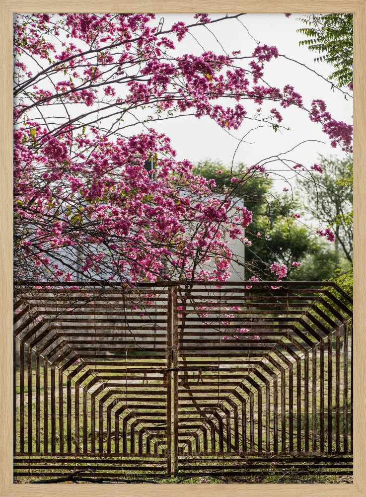Blüten jenseits von Bars | Poster