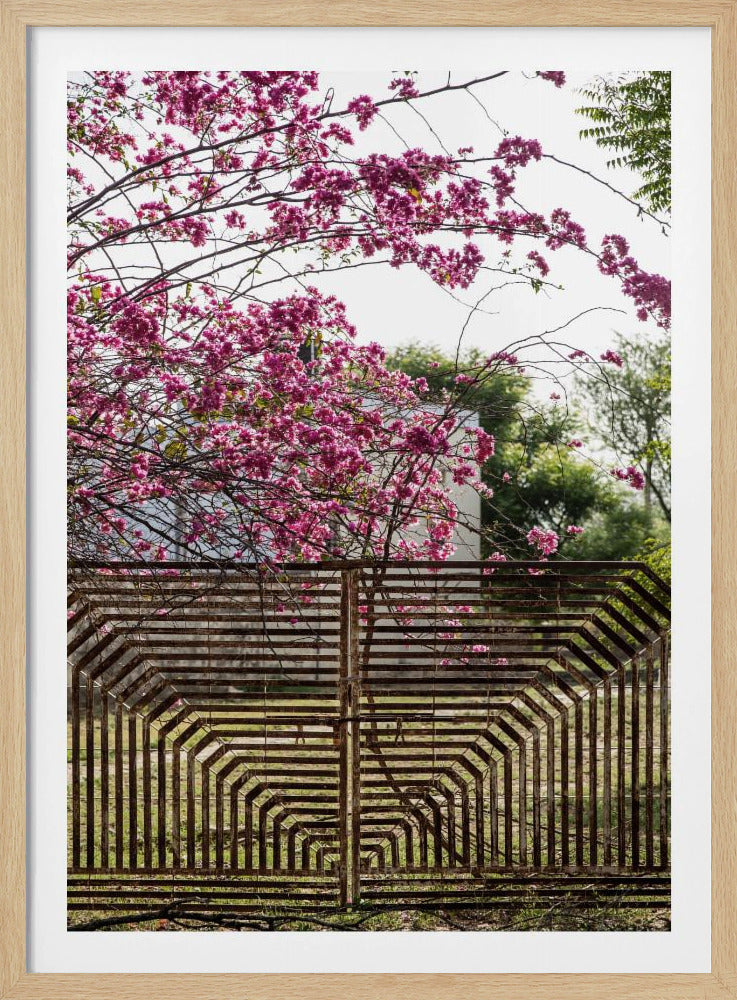 Blüten jenseits von Bars | Poster