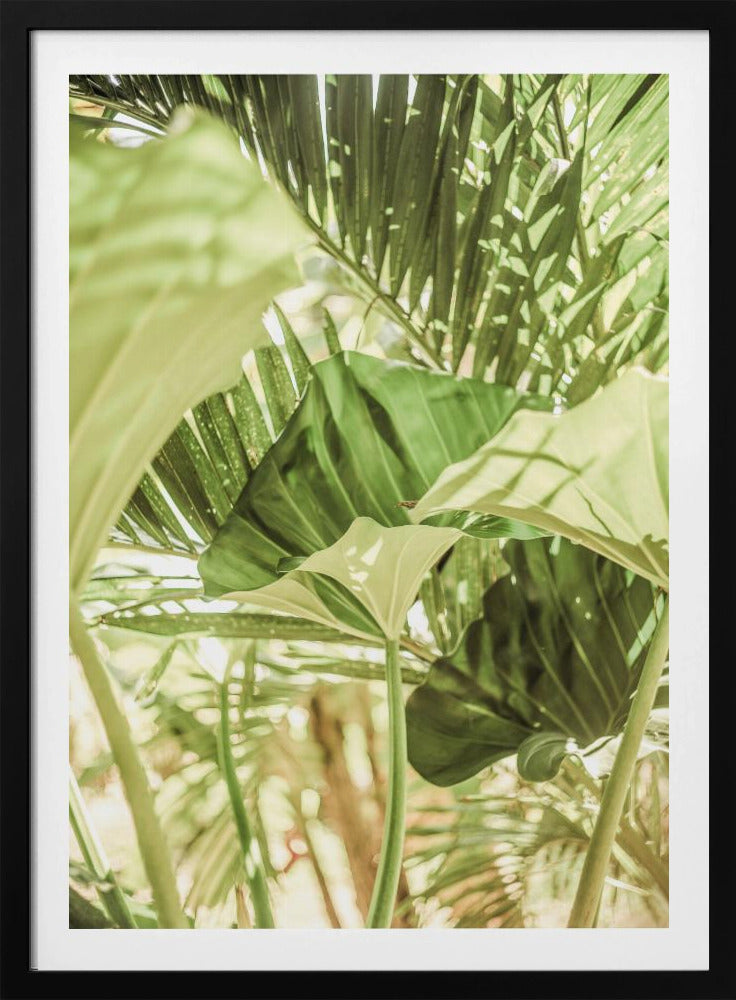 Sonnenbeschienenes Dschungelgrün | Poster