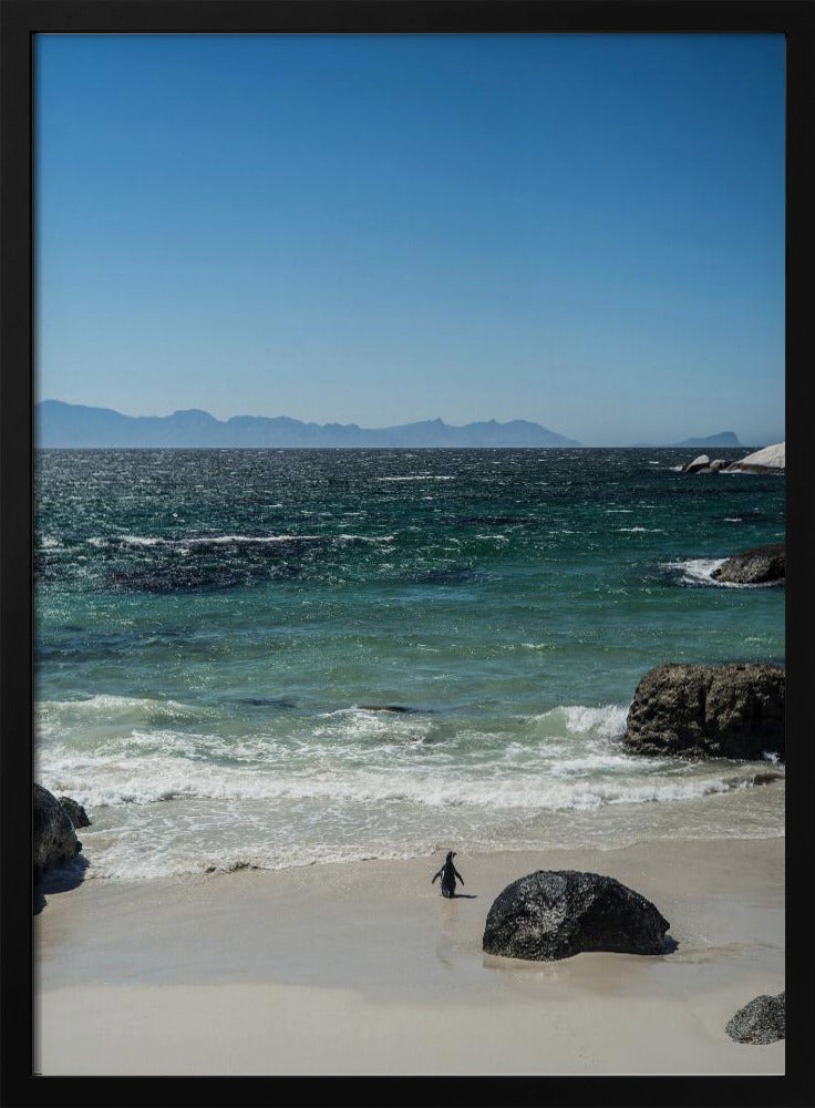 Pinguin-Strandspaziergang | Poster