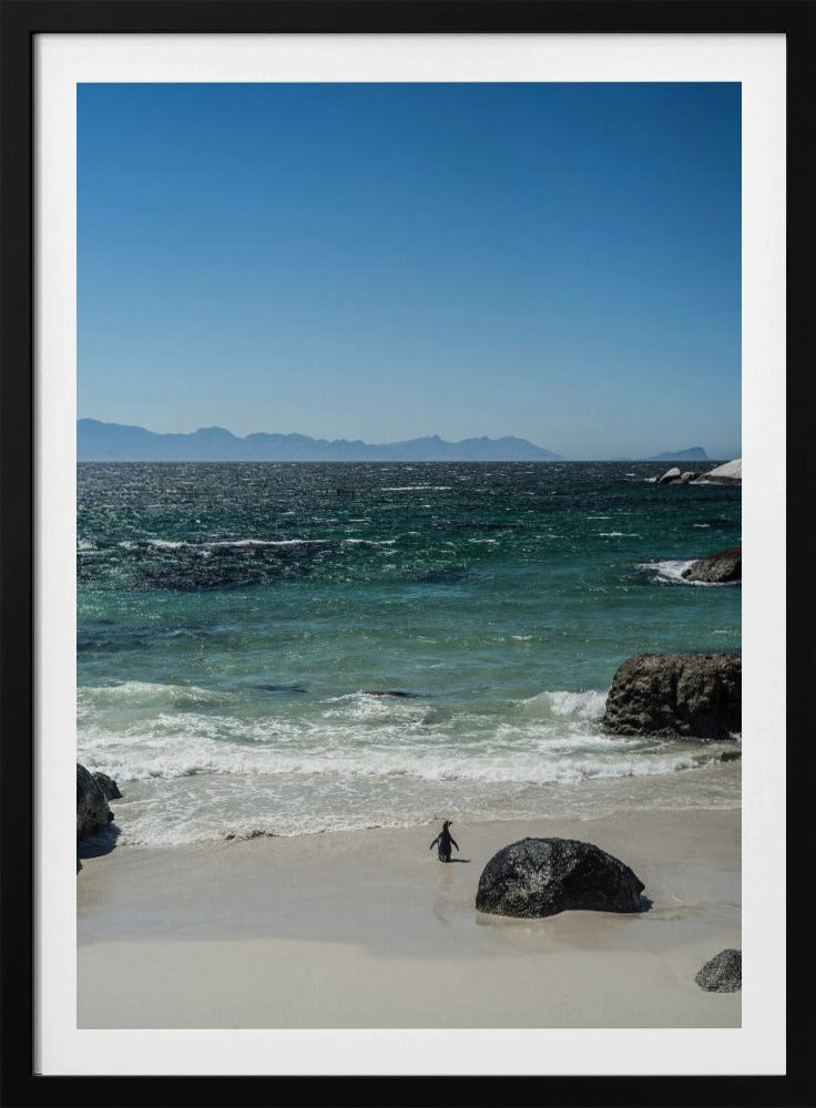 Pinguin-Strandspaziergang | Poster