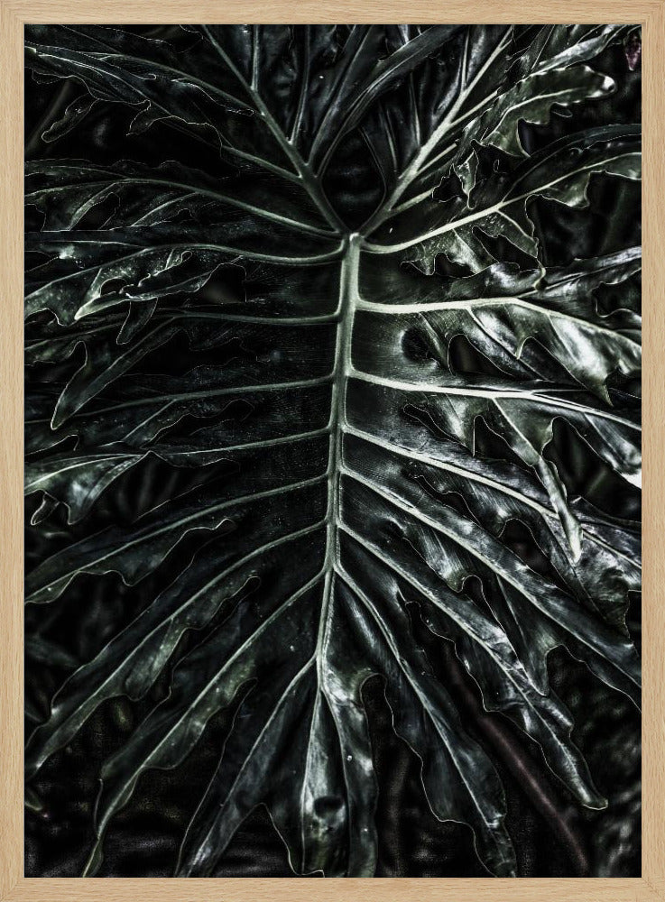 Dunkle Blatteleganz | Poster