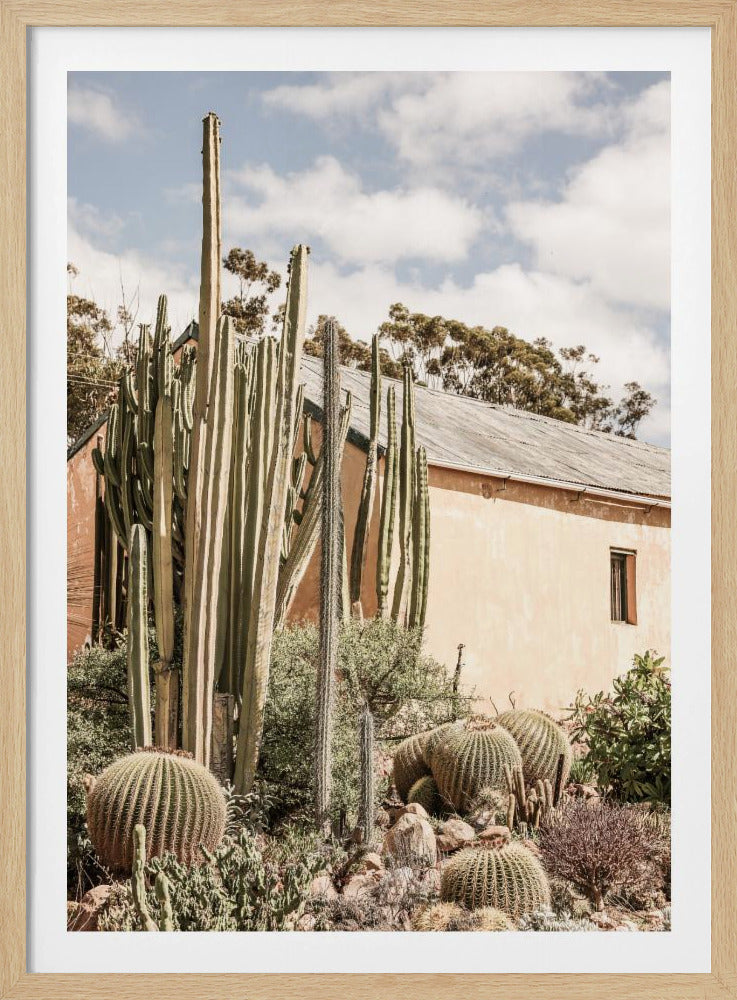 Wüsten-Retreat | Poster