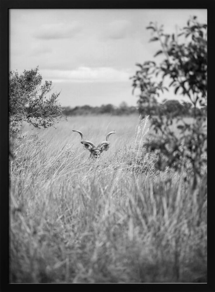 Versteckt im Gras | Poster