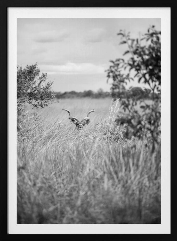Versteckt im Gras | Poster