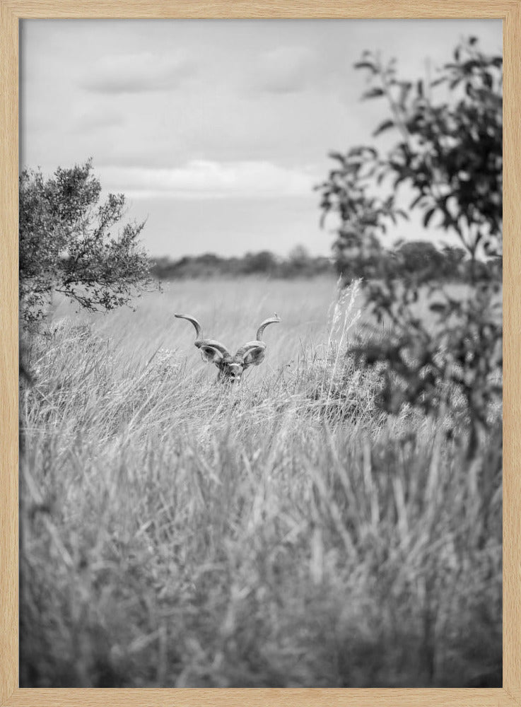 Versteckt im Gras | Poster